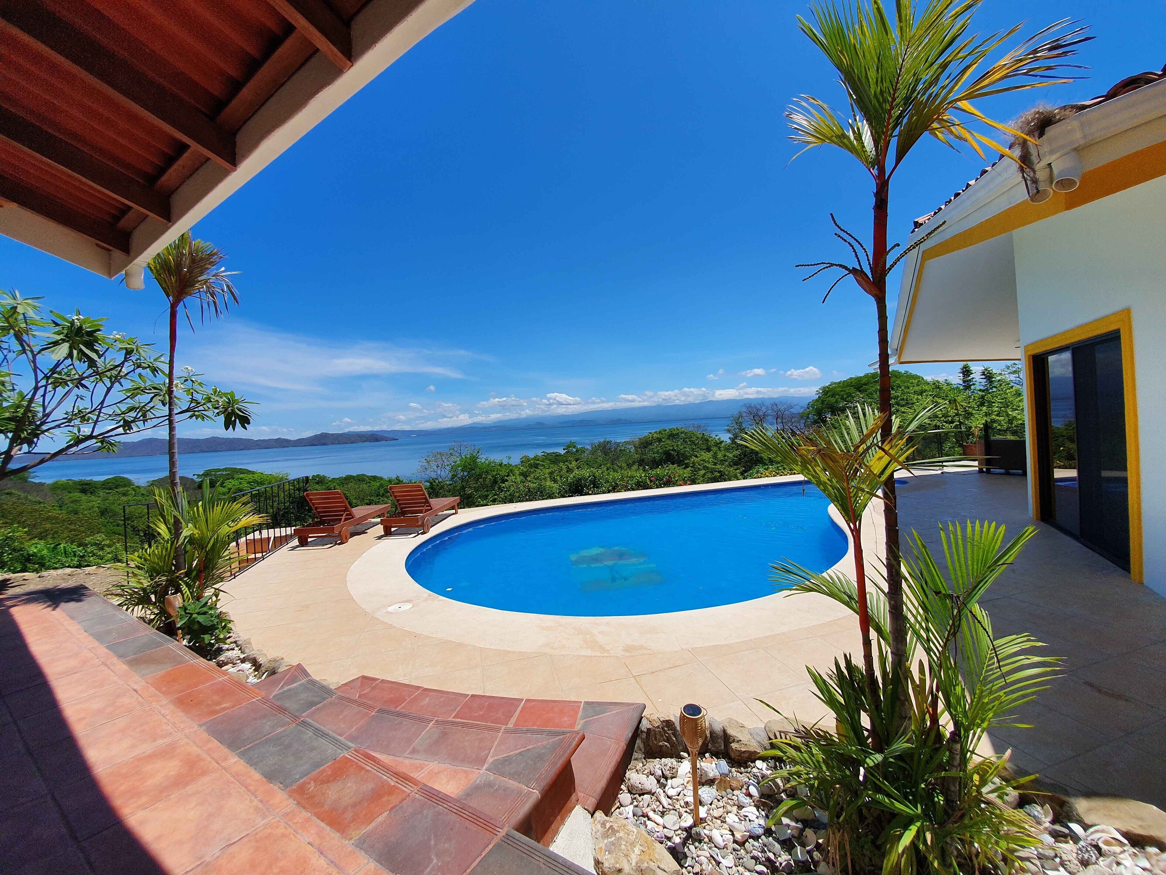 A swimming pool with a curved edge, surrounded by a tiled deck and potted plants.