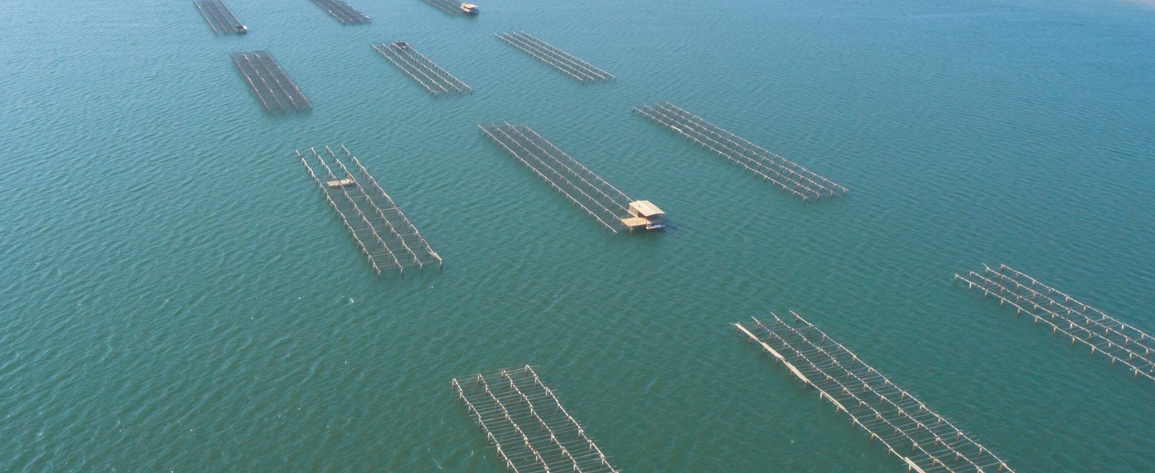 Vista aérea de una gran masa de agua con varias estructuras flotantes.