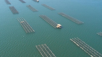 Vista aérea de una gran masa de agua con varias estructuras flotantes.
