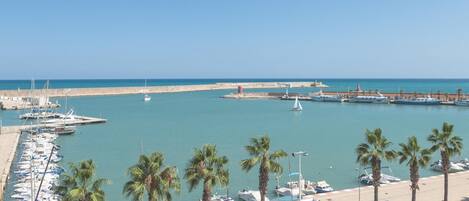 Vista desde la habitación