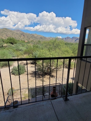Property grounds - Rare 3 Bedrm 2 Bath corner unit with unobstructed Spectacular Mountain Views (Tucson)