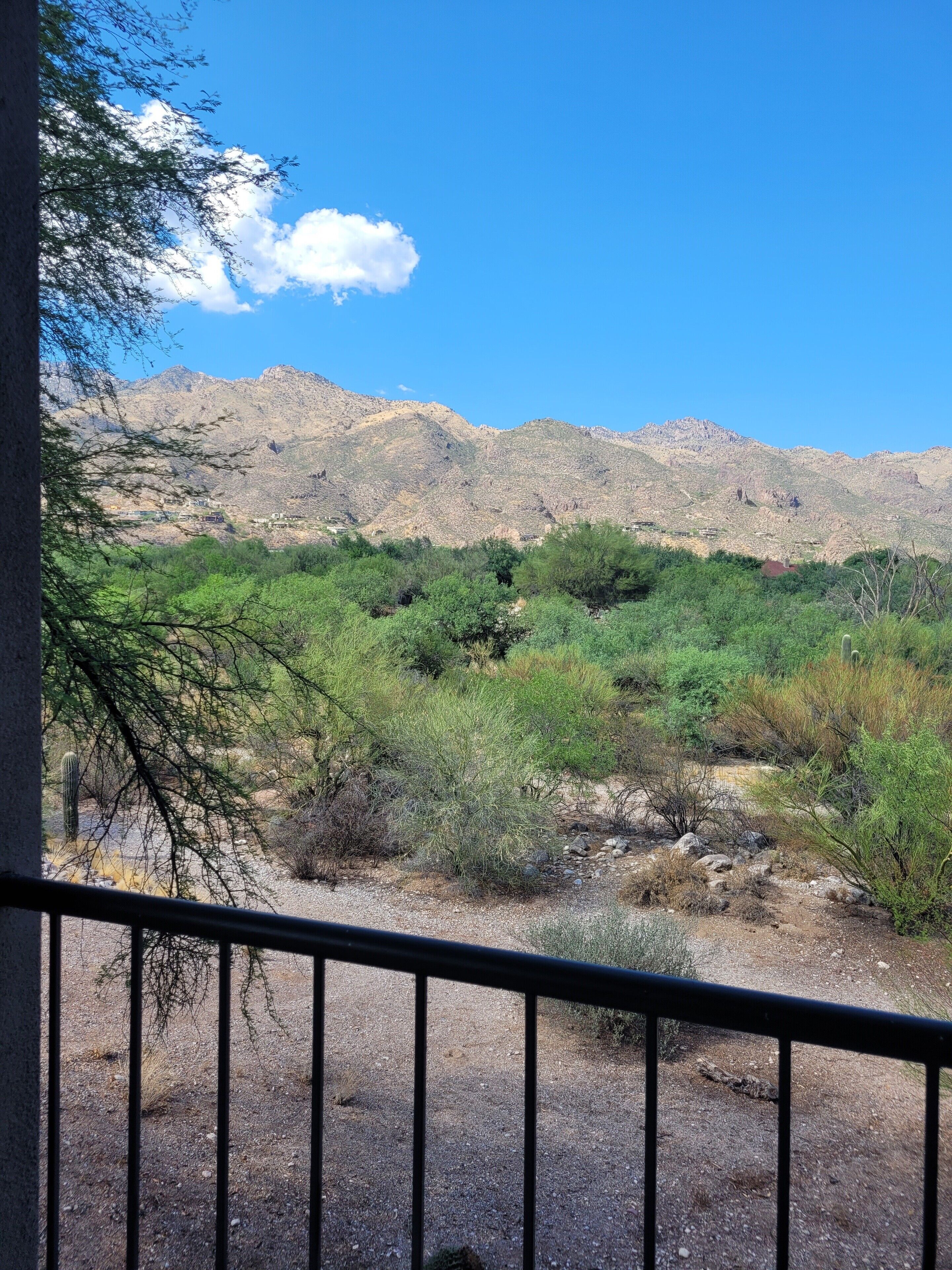 Fabulous Mountain Views with picture windows in living room and 2nd bedroom