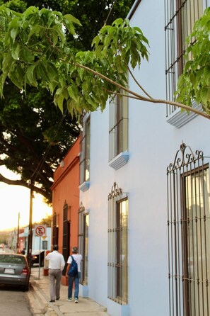 A building with barred windows, a tree with green leaves, and a street with pedestrians. - Hotel Tabáa Oaxaca (Oaxaca)