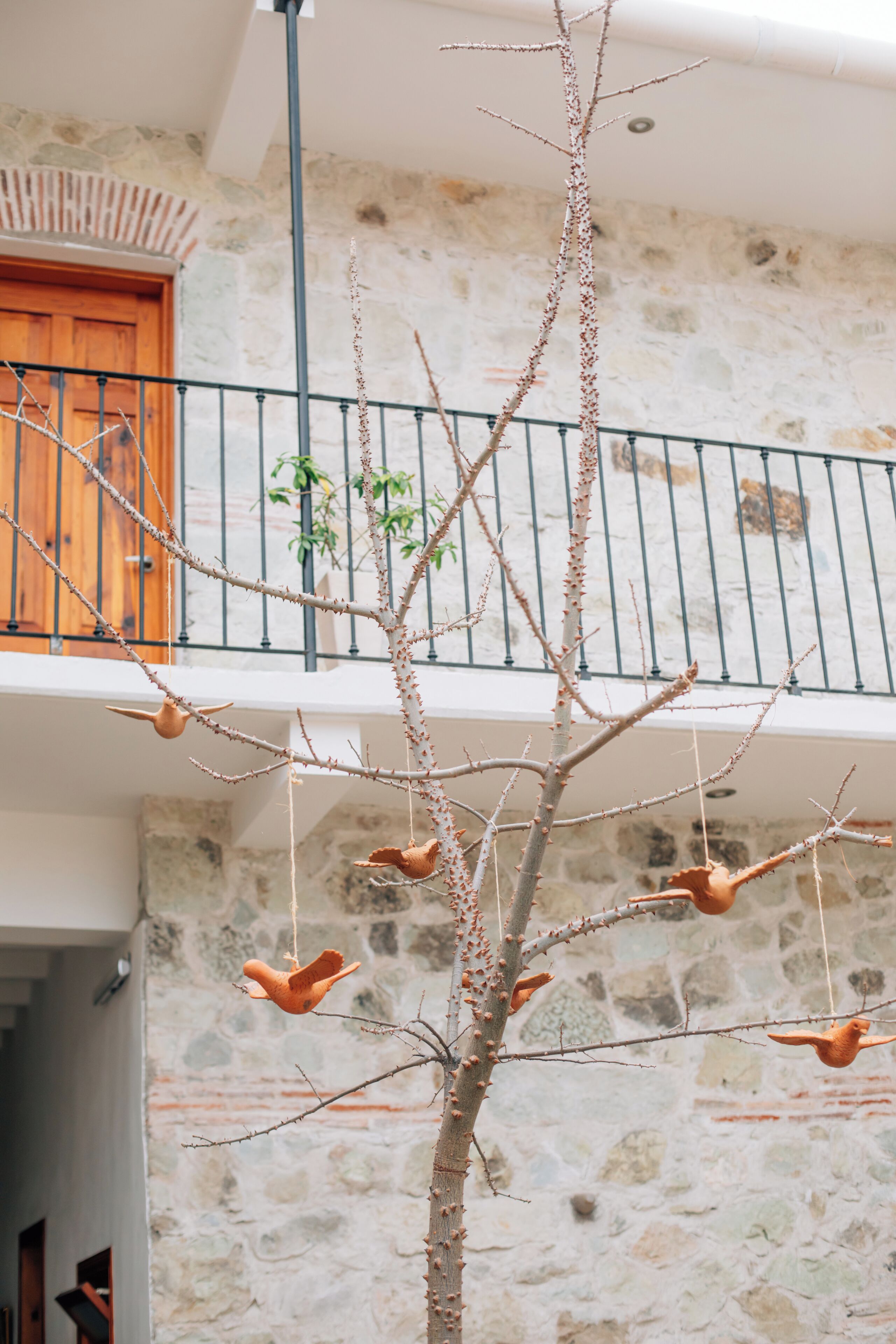 Foto - Hotel Tabáa Oaxaca