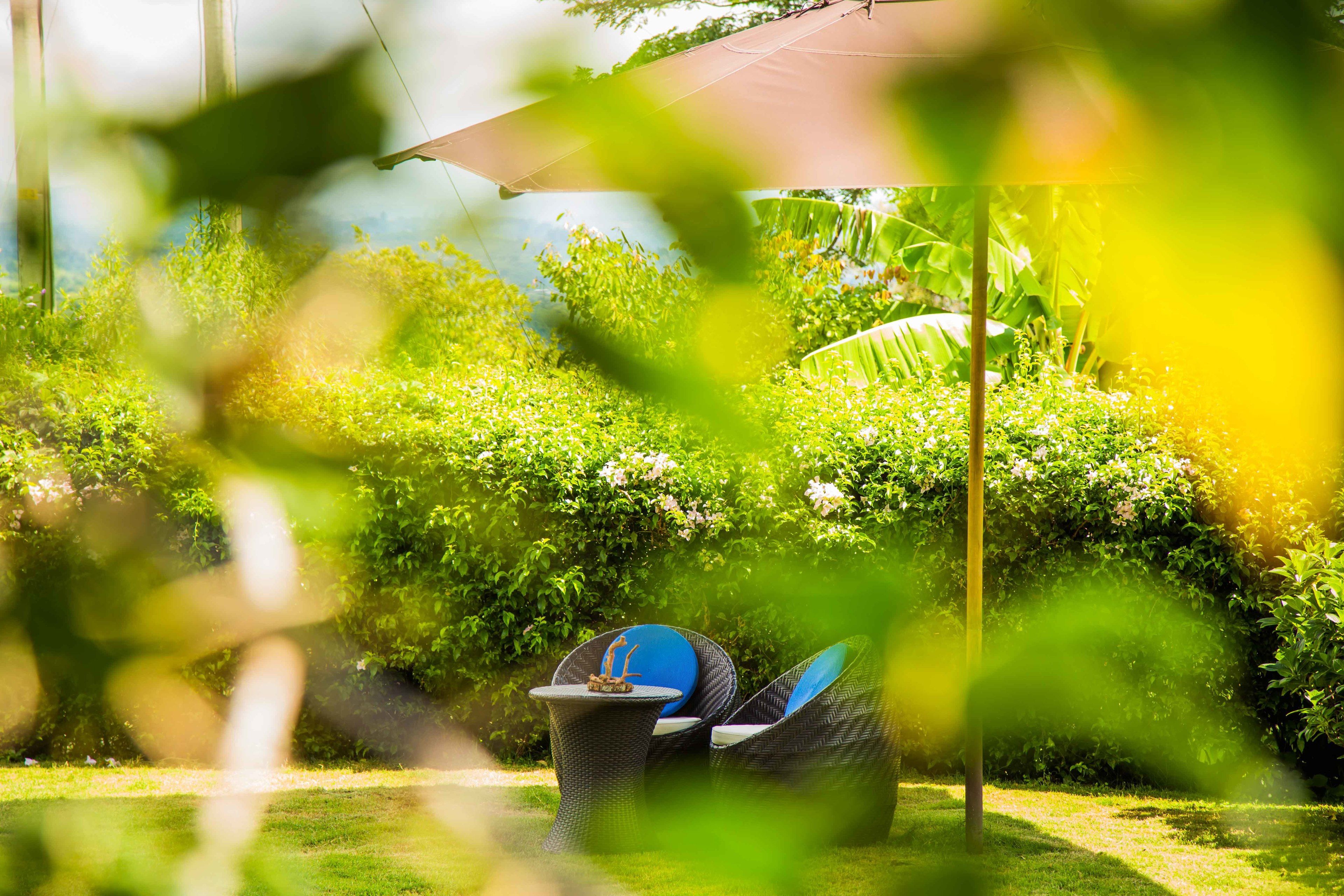 Un espace extérieur aménagé avec des chaises et une table en osier, entouré d’une végétation luxuriante et protégé du soleil par un grand parasol.