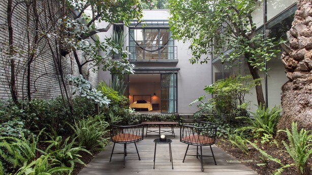 A wooden deck with a table and chairs, surrounded by ferns and plants, leading to a modern building with a balcony. - Casa 9 (Mexico City)