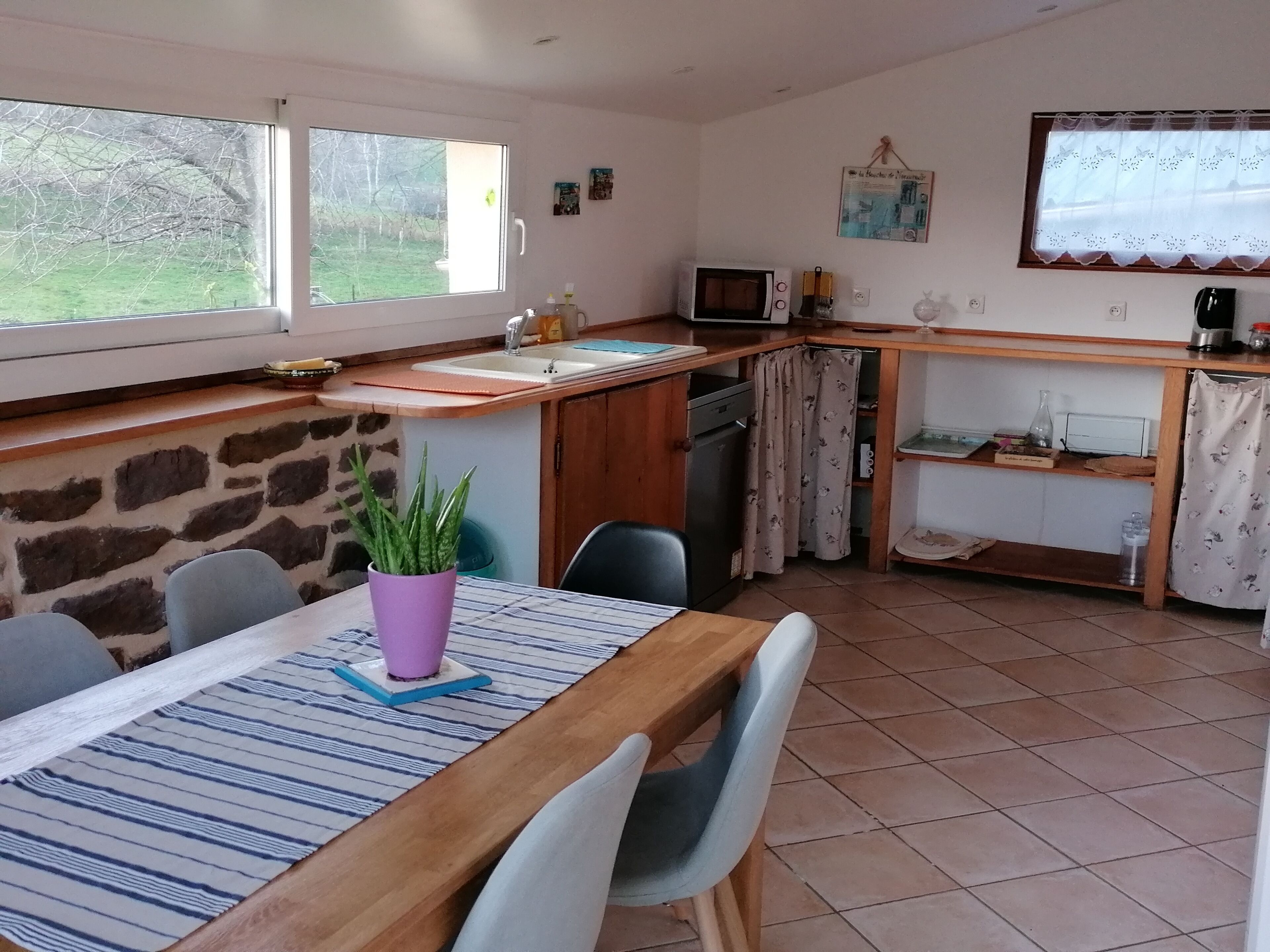 Un comedor con mesa de madera, sillas, una planta en maceta, una cocina con microondas y una pared de piedra.