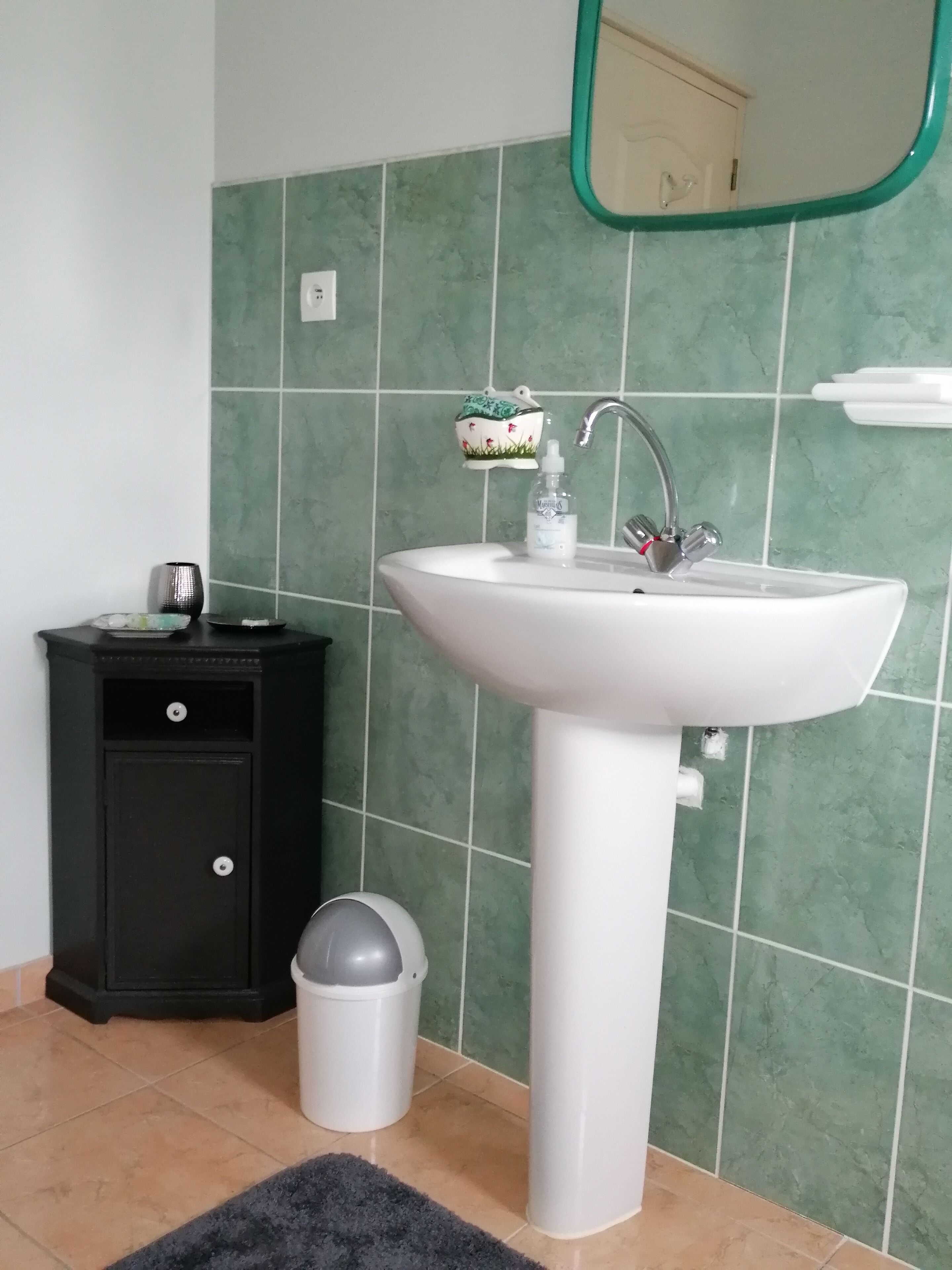 Une salle de bain avec un lavabo blanc, des murs recouverts de carreaux verts, un meuble noir, une poubelle et un miroir.