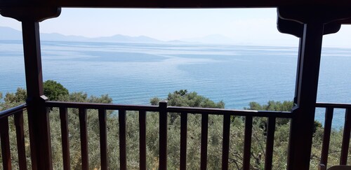 Leonidas Apartment 1