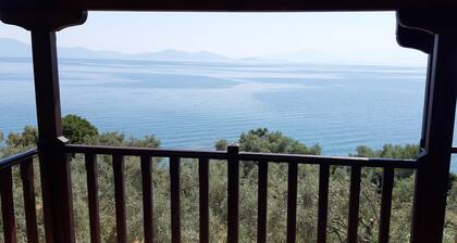 Leonidas Apartment 1