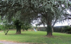 Children’s area