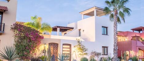 A modern multi-story building with a courtyard, featuring a palm tree, cacti, and flowering plants.