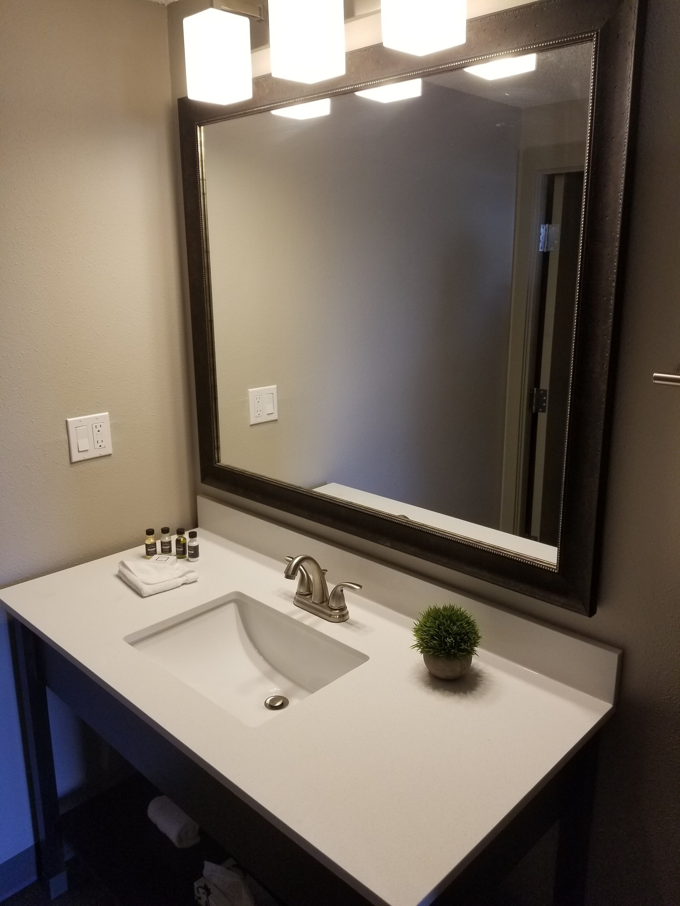 A bathroom with a large mirror, a sink, and a small potted plant.