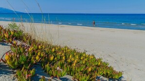 A beach with clear blue water, a person walking, and green plants in the foreground. - Beautiful Apartment ! Historic District Bastia (Bastia)