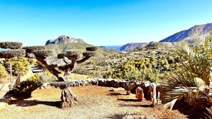 A desert landscape with a prominent tree in the foreground, rocky terrain, and distant mountains under a clear blue sky. - Villa CALIMA in Benissa – 3 bedrooms, private pool, sea and mountain views, Wi-Fi and private parking (Benissa)