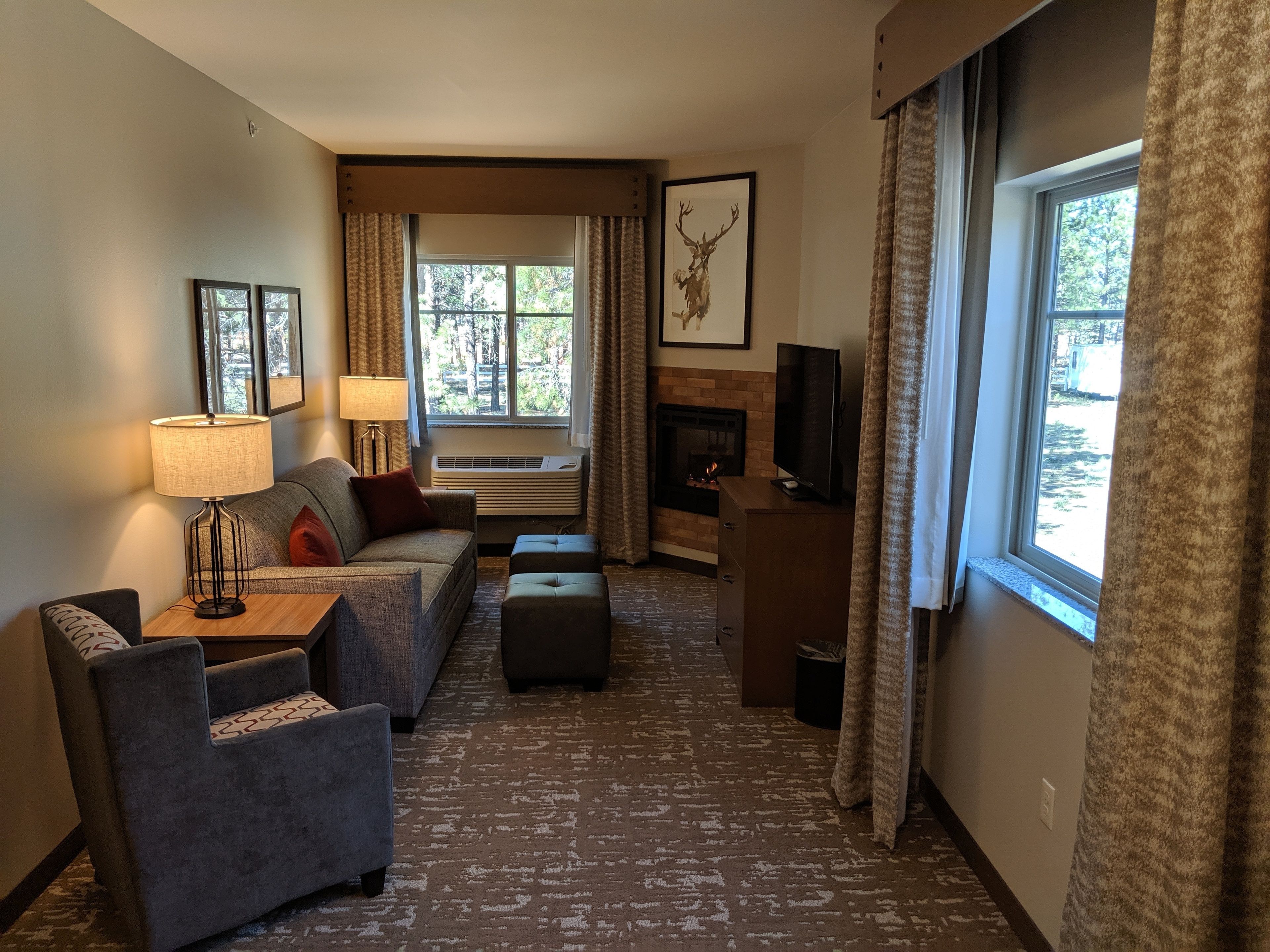 suite, 1 king bed with sofa bed (one bedroom king suite) | living room | 49-inch flat-screen tv with satellite channels, tv