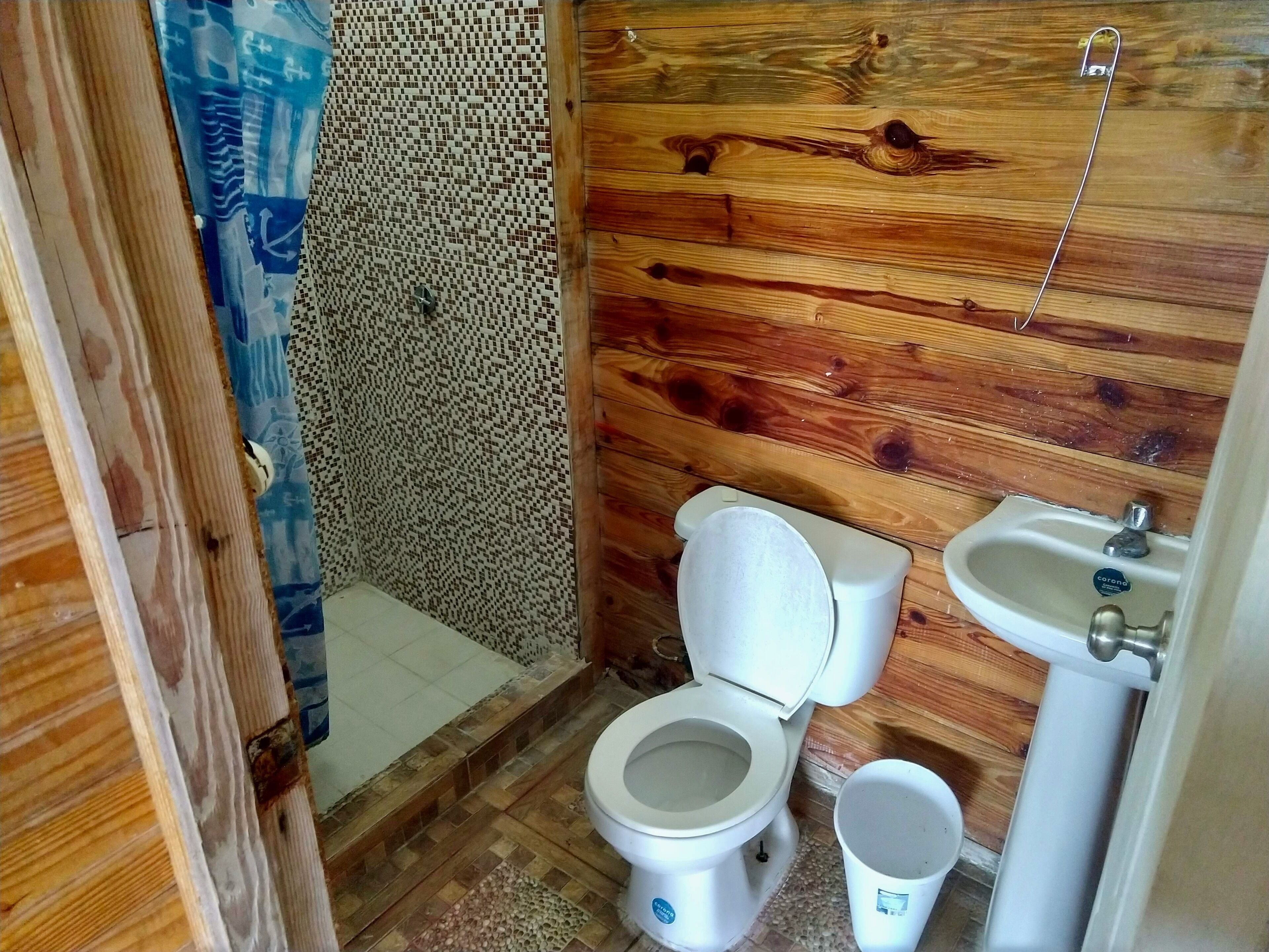 A bathroom with a wooden wall, a toilet, a sink, and a shower area.