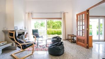 TV, fireplace, books