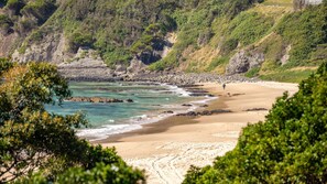 A coastal landscape with a sandy beach, rocky cliffs, and dense greenery.