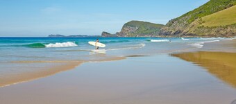The Beach Shack - Pacific Palms Holidays