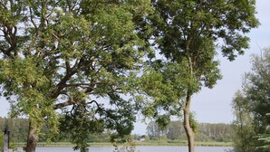A cabin with a view of a lake and surrounding trees. - Apartment morning sun (Pruchten)
