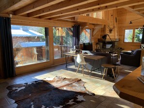 Télévision, cheminée, lecteur de DVD, livres