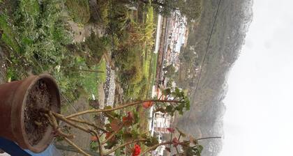 sentir la nature et la nourriture dans le giron de la nature