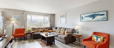 تلفزيون، مدفأة، مشغل دي في دي، كُتُب