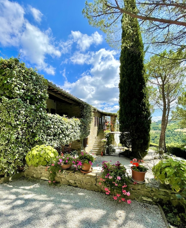 A stone building with a covered staircase, surrounded by lush greenery and potted plants.