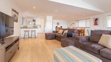 TV, fireplace, DVD player