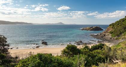 Briesta - at Seal Rocks