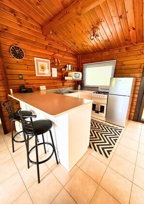 Full-size fridge, microwave, oven, stovetop