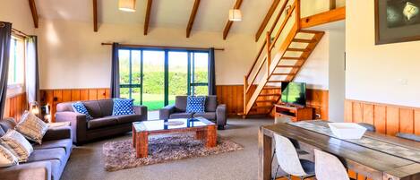 Télévision à écran plat, cheminée, lecteur de DVD