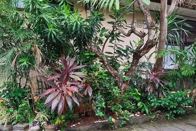 Loven Sanur Guest House