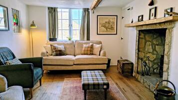 TV, fireplace, books
