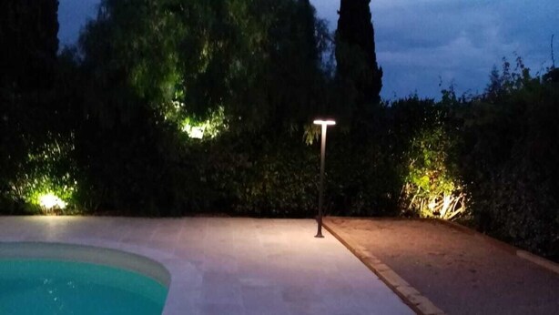 Una piscina con bordo piastrellato, circondata da vegetazione e un alto albero.