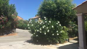 Una strada residenziale con una casa, un vialetto e un grande arbusto fiorito.