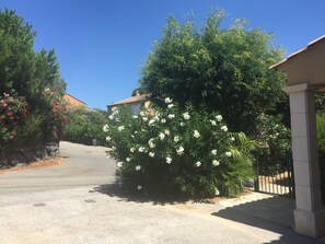 Property grounds - Residence La Croix Valmer - Gulf of Saint-Tropez - French Riviera - Var - France (La Croix-Valmer)