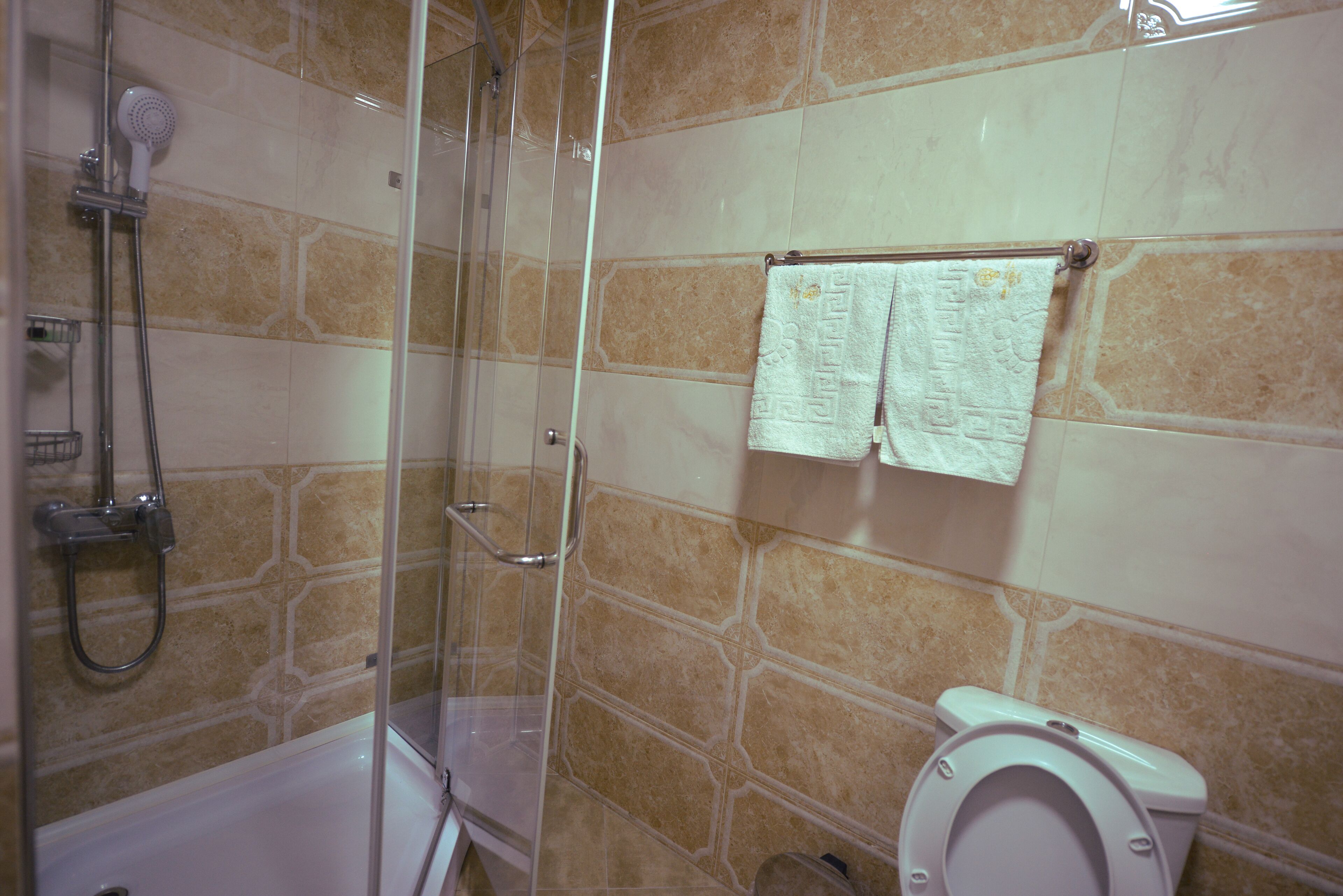 Une salle de bain avec une douche à parois de verre, des toilettes blanches et un porte-serviettes avec deux serviettes.