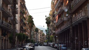 Una strada fiancheggiata da edifici a più piani, automobili parcheggiate e palme.