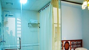 A bathroom with a glass shower enclosure, a toilet, and a sink with a blue bowl.