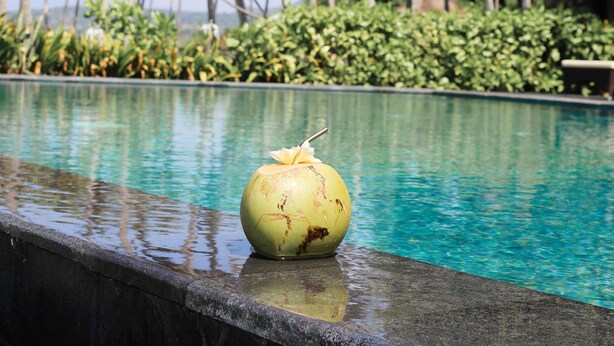 A pool with a coconut on the edge, surrounded by palm trees and greenery. - Villa Campuhan (Karangasem)