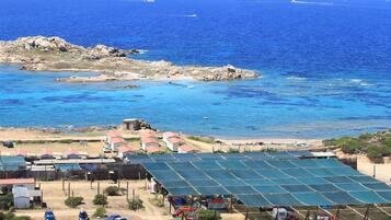 Une zone côtière comprenant une installation de panneaux solaires, une île rocheuse et un petit village avec des maisons et des véhicules garés.