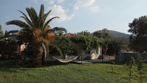 獨棟房屋 | 露台/庭院