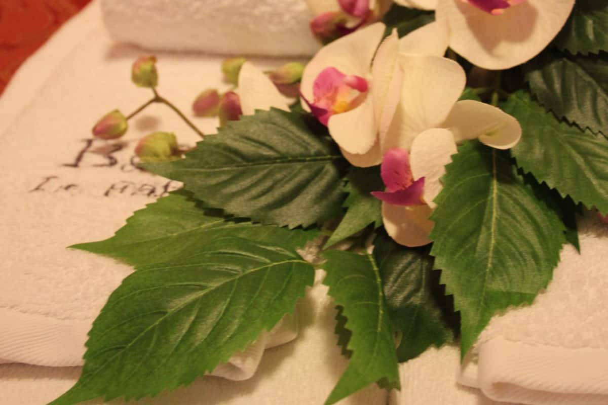 Een keurig opgevouwen witte handdoek met een bloemstuk erop, geplaatst op een bed met een rode hoofdeinde.