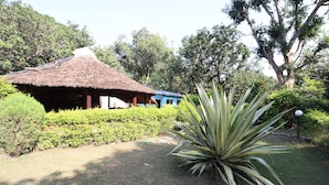 Property grounds - OYO 22307 Jungle Paradise Retreat (Ramnagar)
