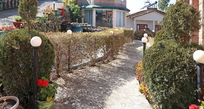 OYO 27891 Hotel Binsar Rooms