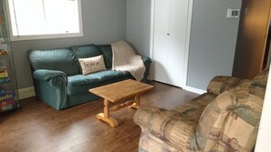 TV, fireplace, DVD player, books