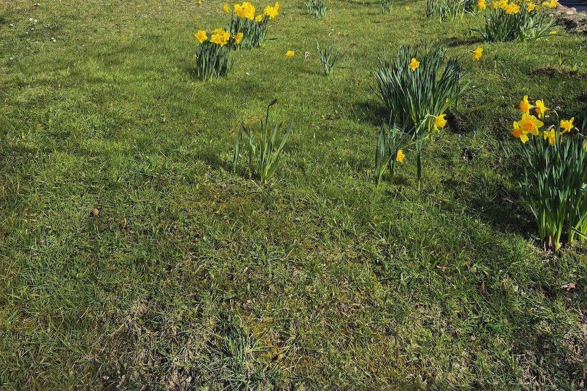 Soundproofing, iron/ironing board, free WiFi, bed sheets