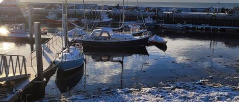 เดินป่า